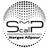 نرگس علیپور لوگو